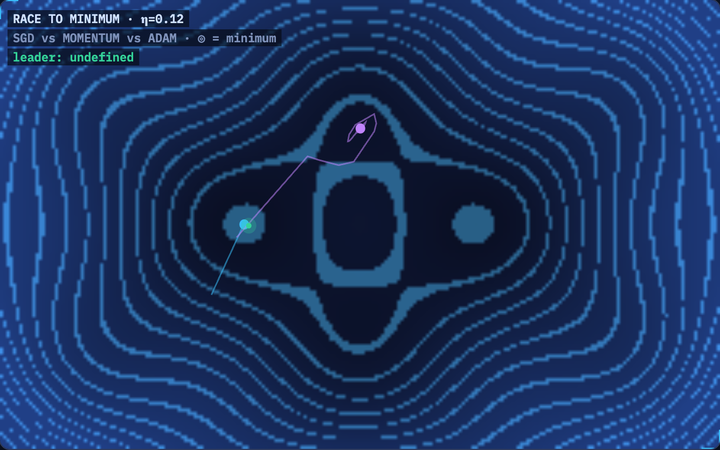 Optimizer Race simulation